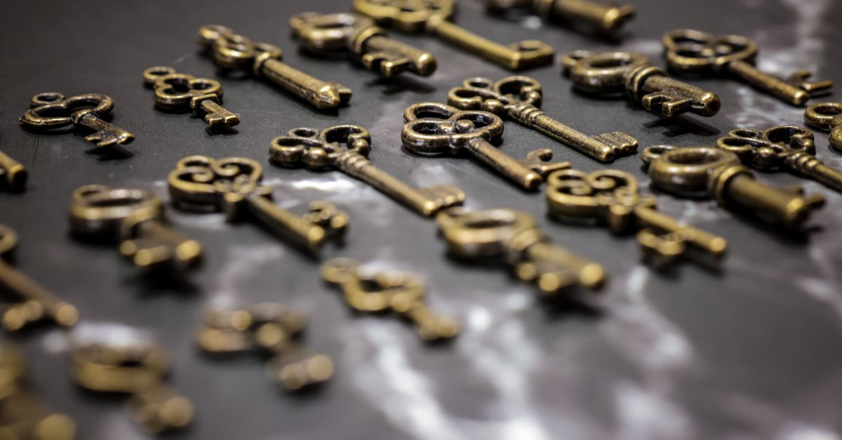 key maker professional — Manatee Locksmith